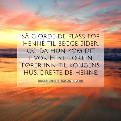 Picture 07 - 2 Krønikebok 23:15 NORSK - Så gjorde de plass for henne til begge sider, og - Bible Verse Picture