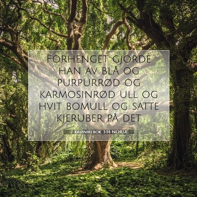 Picture 07 - 2 Krønikebok 3:14 NORSK - Forhenget gjorde han av blå og purpurrød og - Bible Verse Picture