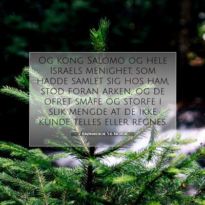 Picture 07 - 2 Krønikebok 5:6 NORSK - Og kong Salomo og hele Israels menighet, som - Bible Verse Picture