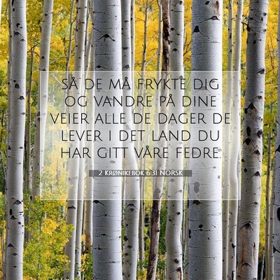 Picture 07 - 2 Krønikebok 6:31 NORSK - så de må frykte dig og vandre på dine veier - Bible Verse Picture