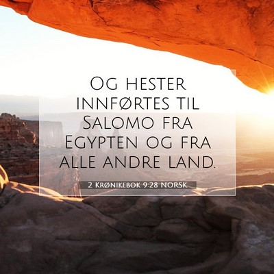 Picture 07 - 2 Krønikebok 9:28 NORSK - Og hester innførtes til Salomo fra Egypten og - Bible Verse Picture