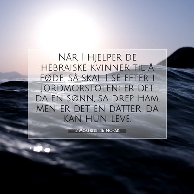 Picture 07 - 2 Mosebok 1:16 NORSK - Når I hjelper de hebraiske kvinner til å føde, - Bible Verse Picture