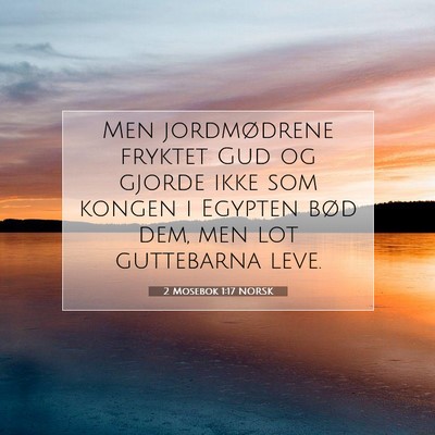 Picture 07 - 2 Mosebok 1:17 NORSK - Men jordmødrene fryktet Gud og gjorde ikke som - Bible Verse Picture