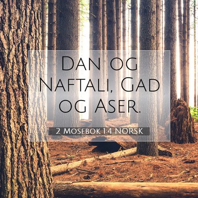 Picture 07 - 2 Mosebok 1:4 NORSK - Dan og Naftali, Gad og - Bible Verse Picture
