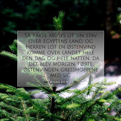 Picture 07 - 2 Mosebok 10:13 NORSK - Så rakte Moses ut sin stav over Egyptens land, - Bible Verse Picture