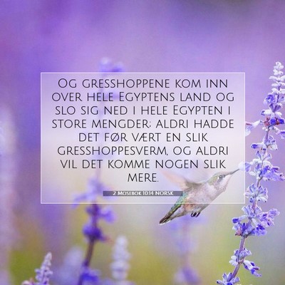 Picture 07 - 2 Mosebok 10:14 NORSK - Og gresshoppene kom inn over hele Egyptens land - Bible Verse Picture
