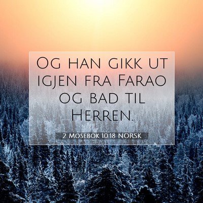 Picture 07 - 2 Mosebok 10:18 NORSK - Og han gikk ut igjen fra Farao og bad til - Bible Verse Picture