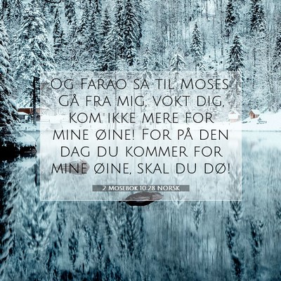 Picture 07 - 2 Mosebok 10:28 NORSK - Og Farao sa til Moses: Gå fra mig, vokt dig, kom - Bible Verse Picture