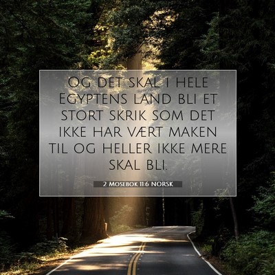 Picture 07 - 2 Mosebok 11:6 NORSK - Og det skal i hele Egyptens land bli et stort - Bible Verse Picture