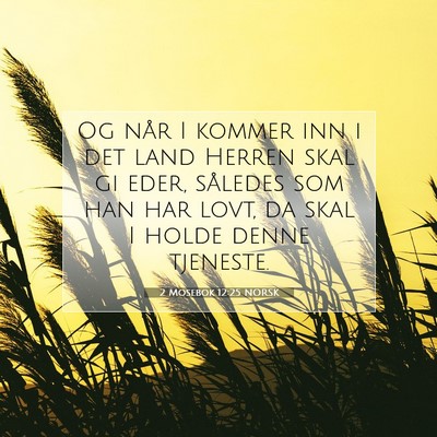 Picture 07 - 2 Mosebok 12:25 NORSK - Og når I kommer inn i det land Herren skal gi - Bible Verse Picture