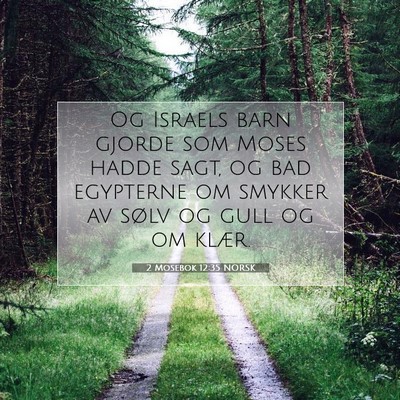 Picture 07 - 2 Mosebok 12:35 NORSK - Og Israels barn gjorde som Moses hadde sagt, og - Bible Verse Picture