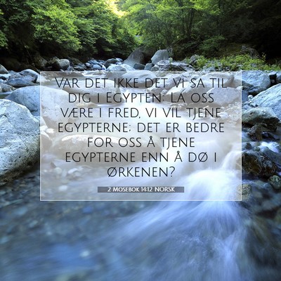 Picture 07 - 2 Mosebok 14:12 NORSK - Var det ikke det vi sa til dig i Egypten: La oss - Bible Verse Picture