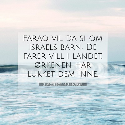 Picture 07 - 2 Mosebok 14:3 NORSK - Farao vil da si om Israels barn: De farer vill i - Bible Verse Picture