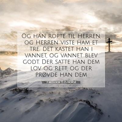 Picture 07 - 2 Mosebok 15:25 NORSK - Og han ropte til Herren, og Herren viste ham et - Bible Verse Picture