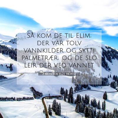 Picture 07 - 2 Mosebok 15:27 NORSK - Så kom de til Elim; der var tolv vannkilder og - Bible Verse Picture