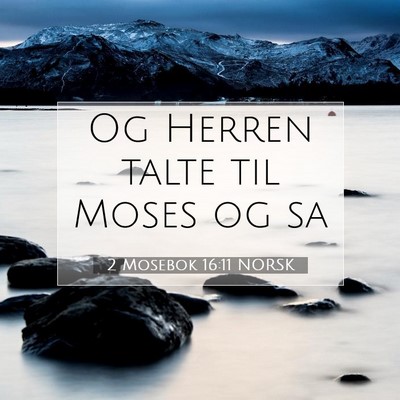 Picture 07 - 2 Mosebok 16:11 NORSK - Og Herren talte til Moses og - Bible Verse Picture
