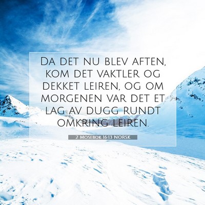 Picture 07 - 2 Mosebok 16:13 NORSK - Da det nu blev aften, kom det vaktler og dekket - Bible Verse Picture
