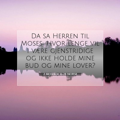 Picture 07 - 2 Mosebok 16:28 NORSK - Da sa Herren til Moses: Hvor lenge vil I være - Bible Verse Picture