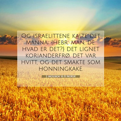 Picture 07 - 2 Mosebok 16:31 NORSK - Og israelittene kalte det manna; {hebr. man, de. - Bible Verse Picture