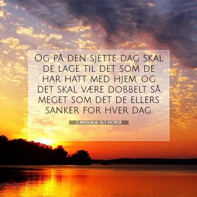 Picture 07 - 2 Mosebok 16:5 NORSK - Og på den sjette dag skal de lage til det som de - Bible Verse Picture