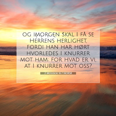 Picture 07 - 2 Mosebok 16:7 NORSK - og imorgen skal I få se Herrens herlighet, fordi - Bible Verse Picture