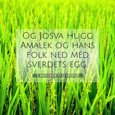 Picture 07 - 2 Mosebok 17:13 NORSK - Og Josva hugg Amalek og hans folk ned med - Bible Verse Picture