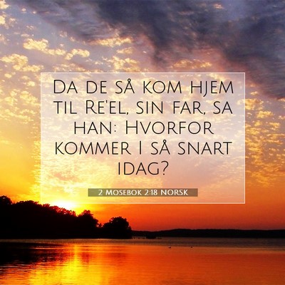 Picture 07 - 2 Mosebok 2:18 NORSK - Da de så kom hjem til Re'el, sin far, sa han: - Bible Verse Picture