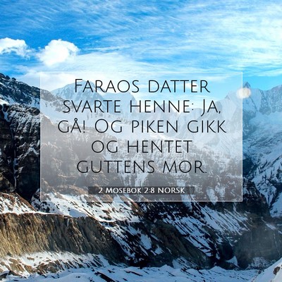 Picture 07 - 2 Mosebok 2:8 NORSK - Faraos datter svarte henne: Ja, gå! Og piken - Bible Verse Picture