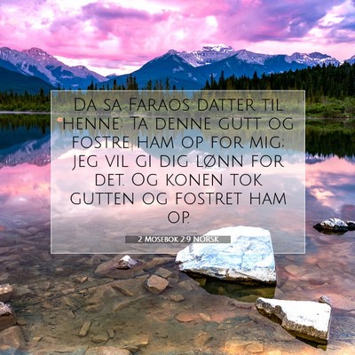 Picture 07 - 2 Mosebok 2:9 NORSK - Da sa Faraos datter til henne: Ta denne gutt og - Bible Verse Picture