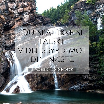 Picture 07 - 2 Mosebok 20:16 NORSK - Du skal ikke si falskt vidnesbyrd mot din - Bible Verse Picture