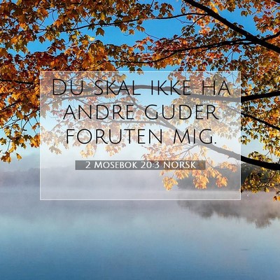 Picture 07 - 2 Mosebok 20:3 NORSK - Du skal ikke ha andre guder foruten - Bible Verse Picture