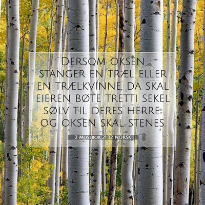 Picture 07 - 2 Mosebok 21:32 NORSK - Dersom oksen stanger en træl eller en - Bible Verse Picture
