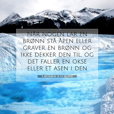 Picture 07 - 2 Mosebok 21:33 NORSK - Når nogen lar en brønn stå åpen eller graver - Bible Verse Picture