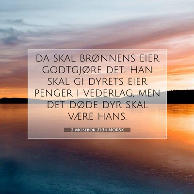 Picture 07 - 2 Mosebok 21:34 NORSK - da skal brønnens eier godtgjøre det; han skal - Bible Verse Picture