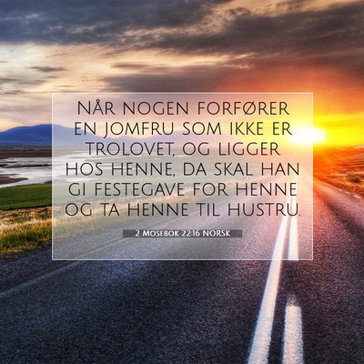 Picture 07 - 2 Mosebok 22:16 NORSK - Når nogen forfører en jomfru som ikke er - Bible Verse Picture