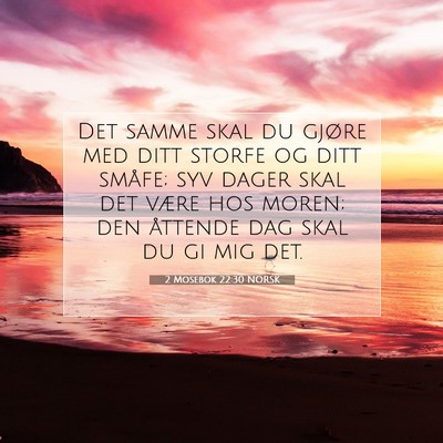 Picture 07 - 2 Mosebok 22:30 NORSK - Det samme skal du gjøre med ditt storfe og ditt - Bible Verse Picture