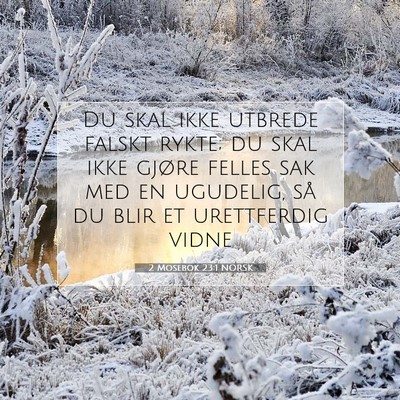 Picture 07 - 2 Mosebok 23:1 NORSK - Du skal ikke utbrede falskt rykte; du skal ikke - Bible Verse Picture