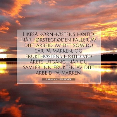 Picture 07 - 2 Mosebok 23:16 NORSK - Likeså kornhøstens høitid, når førstegrøden - Bible Verse Picture