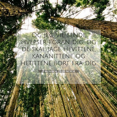 Picture 07 - 2 Mosebok 23:28 NORSK - Og jeg vil sende hvepser foran dig, og de skal - Bible Verse Picture