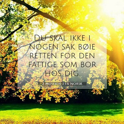 Picture 07 - 2 Mosebok 23:6 NORSK - Du skal ikke i nogen sak bøie retten for den - Bible Verse Picture
