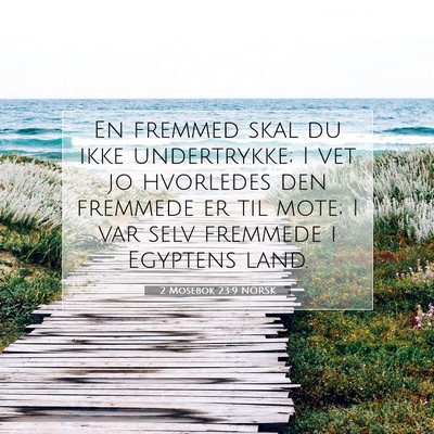 Picture 07 - 2 Mosebok 23:9 NORSK - En fremmed skal du ikke undertrykke; I vet jo - Bible Verse Picture
