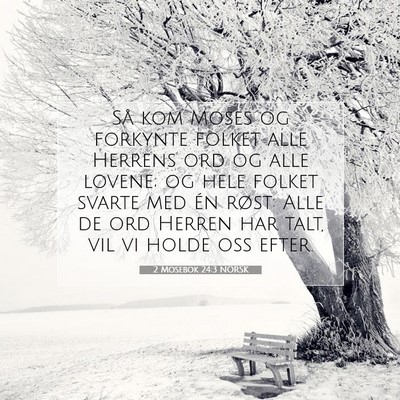 Picture 07 - 2 Mosebok 24:3 NORSK - Så kom Moses og forkynte folket alle Herrens ord - Bible Verse Picture
