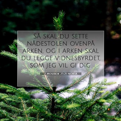 Picture 07 - 2 Mosebok 25:21 NORSK - Så skal du sette nådestolen ovenpå arken, og i - Bible Verse Picture