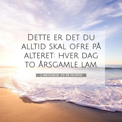 Picture 07 - 2 Mosebok 29:38 NORSK - Dette er det du alltid skal ofre på alteret: - Bible Verse Picture