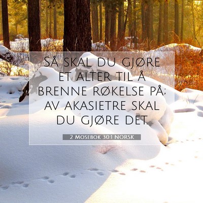 Picture 07 - 2 Mosebok 30:1 NORSK - Så skal du gjøre et alter til å brenne - Bible Verse Picture