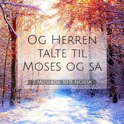 Picture 07 - 2 Mosebok 30:11 NORSK - Og Herren talte til Moses og - Bible Verse Picture