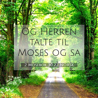 Picture 07 - 2 Mosebok 30:22 NORSK - Og Herren talte til Moses og - Bible Verse Picture