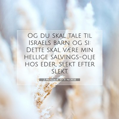 Picture 07 - 2 Mosebok 30:31 NORSK - Og du skal tale til Israels barn og si: Dette - Bible Verse Picture