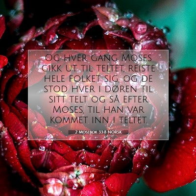 Picture 07 - 2 Mosebok 33:8 NORSK - Og hver gang Moses gikk ut til teltet, reiste - Bible Verse Picture