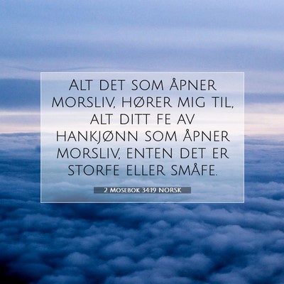 Picture 07 - 2 Mosebok 34:19 NORSK - Alt det som åpner morsliv, hører mig til, alt - Bible Verse Picture
